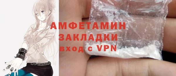 индика Медногорск