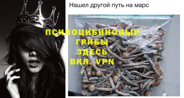 эйфоретик Абаза